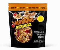 גרנולהחלבוןש300